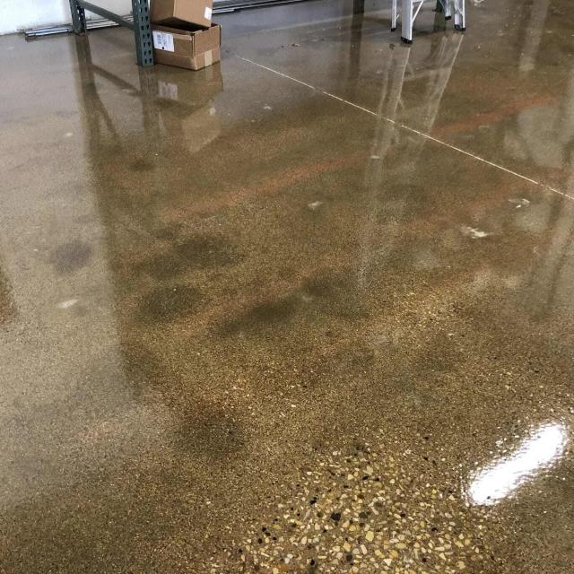 Concrete Grind and Seal