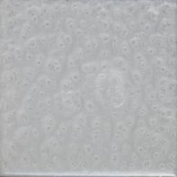 Bright White
