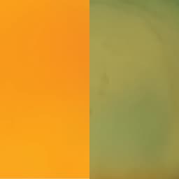 Orange Yellow L3598