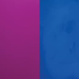 Colorful Purple L3710