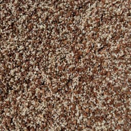 Sarasota Sand