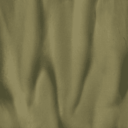 Palm